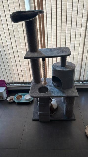 Krabbaal voor katten beschikbaar voor biedingen