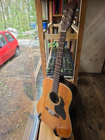 Richwood metal string guitar beschikbaar voor biedingen