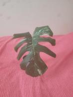 De Monstera Deliciosa “Variegata” plant, Huis en Inrichting, Ophalen, Overige soorten, Halfschaduw, In pot