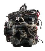 Land Rover Defender L316 2.4 244DT DT244-motor, Auto-onderdelen, Ophalen of Verzenden, Land Rover