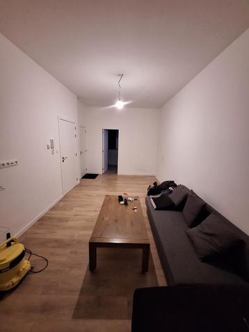 Kamer te huur, Immo
