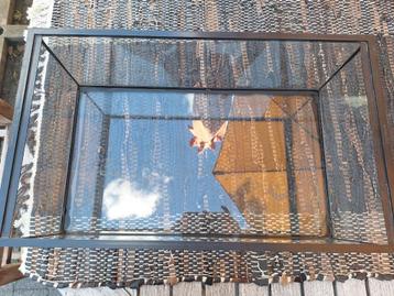 Terrarium in glas beschikbaar voor biedingen