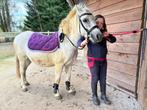 Leuke kinderpony, Dieren en Toebehoren, Pony's, Merrie, Recreatiepony