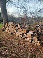 Bois de chauffage, Enlèvement ou Envoi, Frêne, Bûches