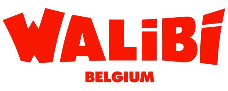 Billets WALIBI, Tickets & Billets, Loisirs | Parcs d'attractions