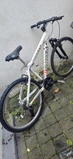 Fiets, Fietsen en Brommers, Ophalen, Gebruikt, 26 inch of meer, Versnellingen