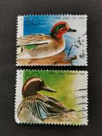 Israël 1989 - oiseaux - canards, Enlèvement ou Envoi, Affranchi, Moyen-Orient