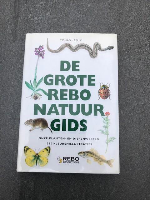 De grote Rebo natuurgids, Livres, Nature, Oiseaux, Enlèvement ou Envoi