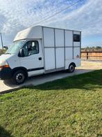 Renault paardencamionette te koop – B-rijbewijs, 2 paarden, Ophalen, Gebruikt, Aluminium, 2-paards trailer