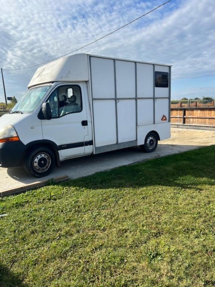 Renault paardencamionette te koop – B-rijbewijs, 2 paarden, Dieren en Toebehoren, Paarden en Pony's | Trailers en Aanhangwagens