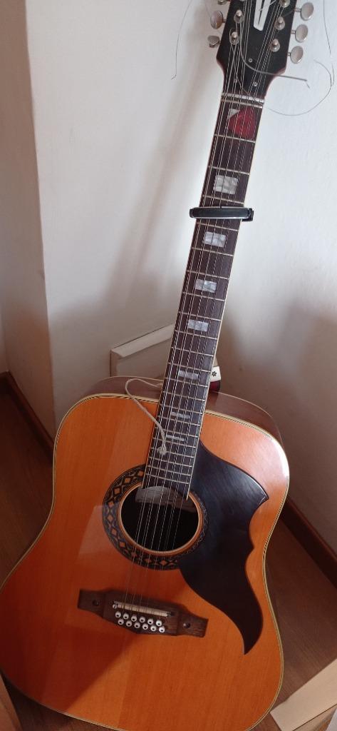12-snarige gitaar, Muziek en Instrumenten, Snaarinstrumenten | Gitaren | Akoestisch, Zo goed als nieuw, Overige typen, 12-snarig
