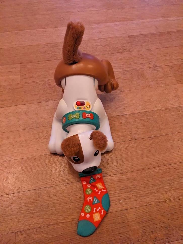 Kruip met mij hondje van Fisher price, Kinderen en Baby's, Speelgoed | Fisher-Price, Zo goed als nieuw, Ophalen of Verzenden