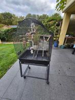 vogelkooi, Ophalen, Gebruikt, Vogelkooi