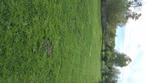 Entretien votre jardin, Tuin en Terras, Gras en Kunstgras, Ophalen