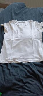 T-shirt maat M, Kleding | Dames, T-shirts, Ophalen of Verzenden, Zo goed als nieuw, Maat 38/40 (M)