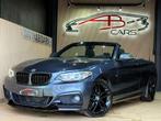 BMW 2 Serie 218 D * PACK M PERFORMANCE * GARANTIE 12 MOIS *, 4 zetels, 4 cilinders, Leder, Bedrijf