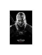The Witcher - Poster Maxi (91.5x61cm) - Toxicity Poisoning, Nieuw, Film en Tv, Vierkant, Verzenden