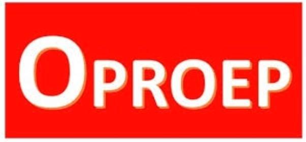 OPROEP – HELP MIJ MIJN SHETLANDPONY’S TERUG TE VINDEN, Dieren en Toebehoren, Pony's, Merrie