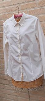 Hemdbloes maat m esprit, Kleding | Dames, Blouses en Tunieken, Maat 38/40 (M), Wit, Ophalen of Verzenden, Zo goed als nieuw