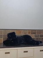 Black Panther XXL knuffel 121cm, Ophalen of Verzenden