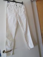 jeansbroek Katy Denim Studio 26 NIEUW, Ophalen of Verzenden, Nieuw