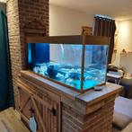 Aquarium d'eau avec pompe et déco(complet), Dieren en Toebehoren, Ophalen of Verzenden, Zo goed als nieuw