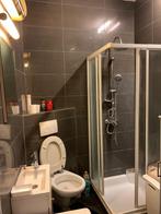 Toiletmeubel met kraan & Douche Gratis, Ophalen of Verzenden, Gebruikt