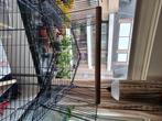 Cages canaris / perruches, Comme neuf, Enlèvement, Métal, Cage à oiseaux