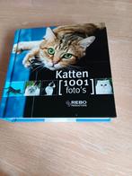 Y. Susic - Katten, Nieuw, Ophalen of Verzenden, Y. Susic, Katten