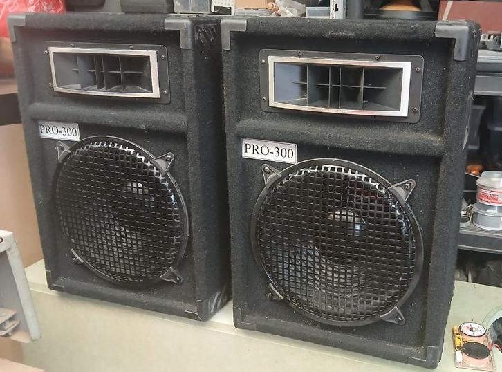 PA luidspreker setje 2 keuzes, Audio, Tv en Foto, Luidsprekerboxen, Refurbished, Front, Rear of Stereo speakers, 120 watt of meer