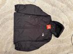 The north face windbreaker, Sport en Fitness, Bergsport en Wandelen, Ophalen of Verzenden, Nieuw, Kleding