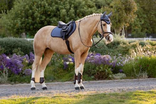 LeMieux Suede cc spring dekje Jay Blue SALE -30%!, Dieren en Toebehoren, Paarden en Pony's | Dekens en Dekjes, Nieuw, Dekje, Ophalen of Verzenden