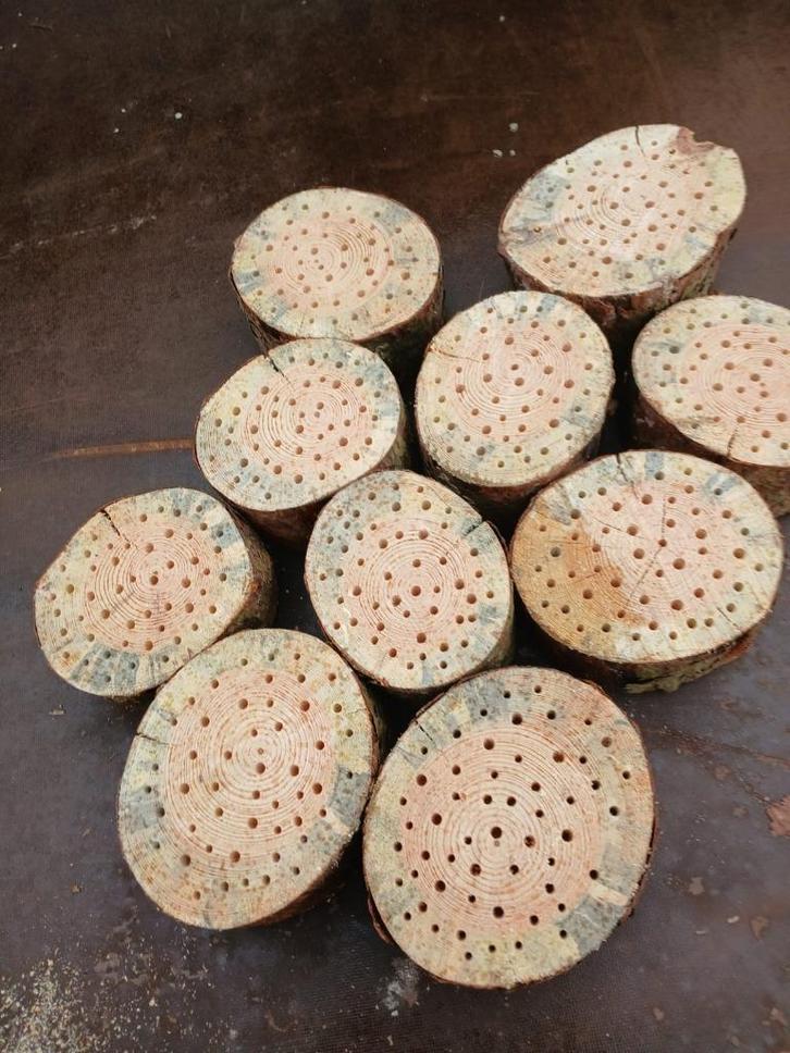 Bijenhotel / bijenschijf / insectenhotel (lariks), Tuin en Terras, Tuinwanddecoratie, Nieuw, Ophalen of Verzenden