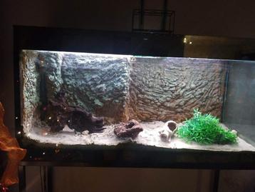 Aquarium de 250 litres disponible aux enchères