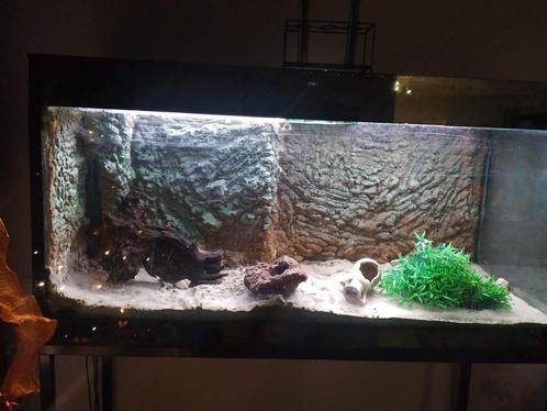 Aquarium de 250 litres, Animaux & Accessoires, Poissons | Aquariums & Accessoires, Comme neuf, Aquarium vide, Enlèvement