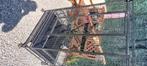 Cage perroquet, Ophalen, Zo goed als nieuw, Kooi-accessoires