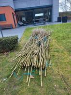 Wilgentenen - wilgentakken, Tuin en Terras, Ophalen