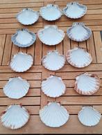 St-Jacobsschelpen, Enlèvement, Comme neuf