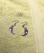 Oorhangers maan, Enlèvement, Utilisé, Argent