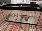 Hamster terrarium voor kleine knaagdieren, Ophalen, Gebruikt, Hamster