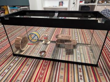 Hamster terrarium voor kleine knaagdieren beschikbaar voor biedingen