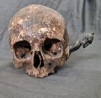 Asmat slaapschedel, Antiek en Kunst, Ophalen of Verzenden