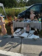 Top curiosa taxidermie opgezette jacht trofeeën en meer, Ophalen of Verzenden