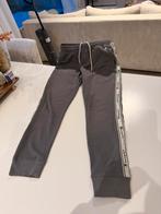 Champion trainingsbroek grijs, Kleding | Heren, Broeken en Pantalons, Ophalen, Champion, Zo goed als nieuw, Grijs