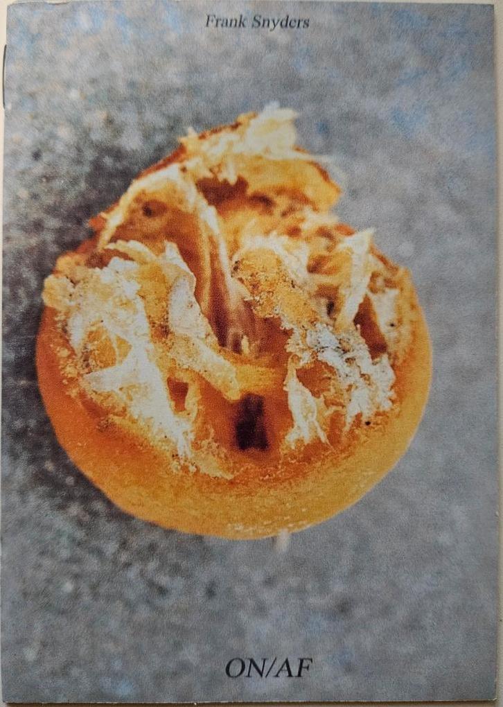 Francis Denys ON/AF - Frank Snyders - Leuven 2001, Boeken, Kunst en Cultuur | Beeldend, Zo goed als nieuw, Ophalen of Verzenden