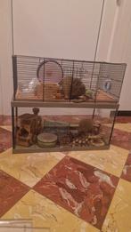 Hamster / cavia kooi met alle toebehoren, Ophalen, Zo goed als nieuw, Kooi, Hamster