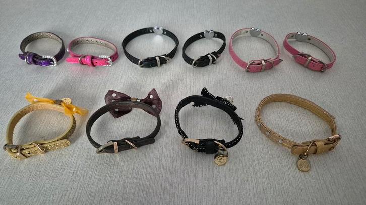 À vendre lot de 10 colliers pour chien ou chat, Animaux & Accessoires, Colliers & Médailles pour chiens, Neuf, Enlèvement