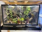 Dutch rana terrarium 80x50x50, Ophalen, Gebruikt, Verlichting