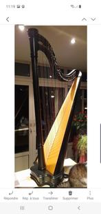 Harpe celtique salvi modele ana, Muziek en Instrumenten, Snaarinstrumenten | Harpen, Ophalen, Zo goed als nieuw