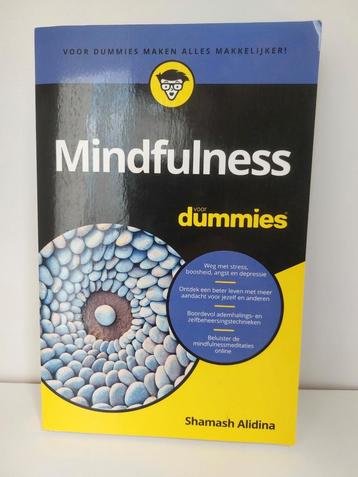 Shamash Alidina - Mindfulness voor Dummies